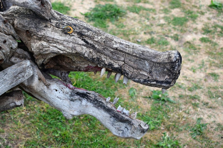 Sculture nate dal mare di Enrico Menegatti