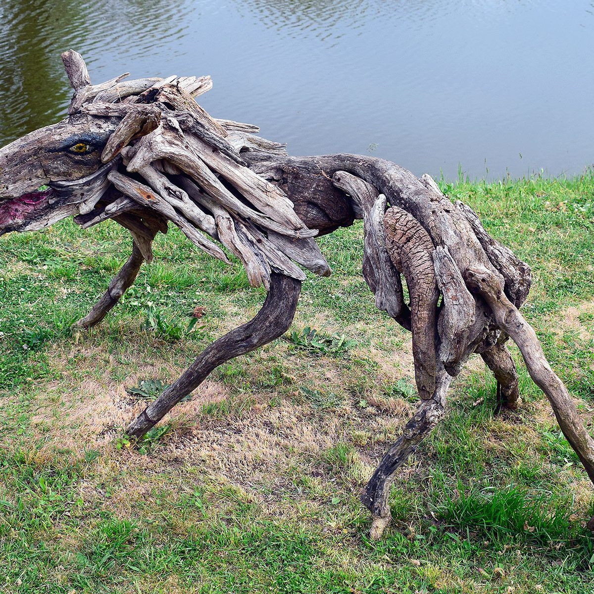 Sculture nate dal mare di Enrico Menegatti